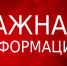 ИП и малые предприятия с 1 марта могут сдать отчет в Росстат через портал госуслуг - Администрация г. Кумертау