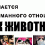 Памятка по ответственному обращению с животными - Администрация г. Кумертау