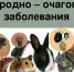 Информация о мерах профилактики природно – очаговых, клещевых инфекционных заболеваний - Администрация г. Кумертау